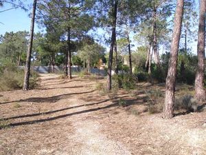 Land for sale in Almancil - SMA6565